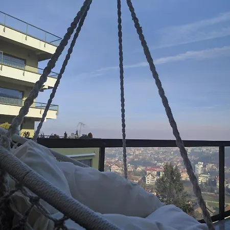 Juniper 布拉索夫